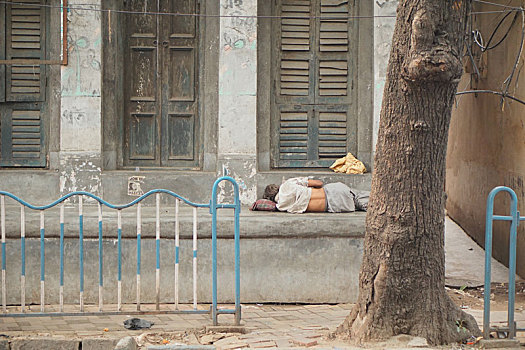 印度,加尔各答,头小,流浪汉,树下,睡觉