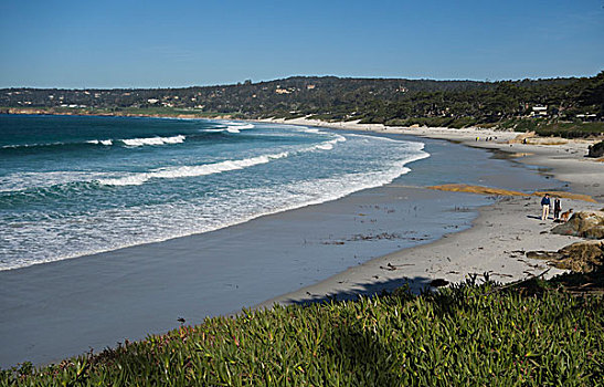 海滩,蒙特利半岛,加利福尼亚,海岸