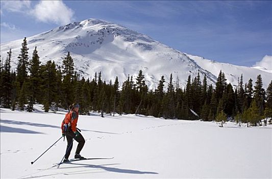 北欧滑雪,越野滑雪,滑冰,木屋,白色,小路,不列颠哥伦比亚省,育空地区,加拿大