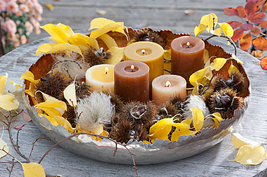 宽,碗,蜡烛,水果,茎,欧洲板栗