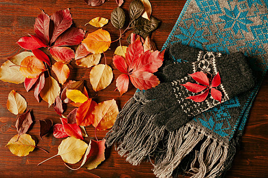手套,围巾,秋天,叶子,风景,俯视