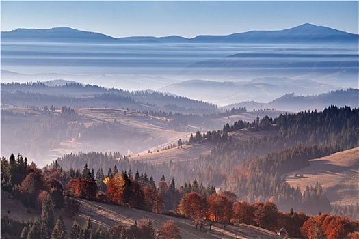 条纹,雾,喀尔巴阡山脉,秋天,白天