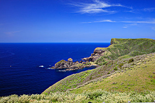 海岸,岛屿,观测