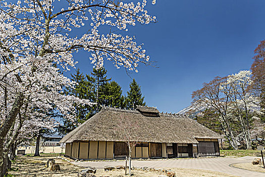 磐梯山,线条,福岛,日本