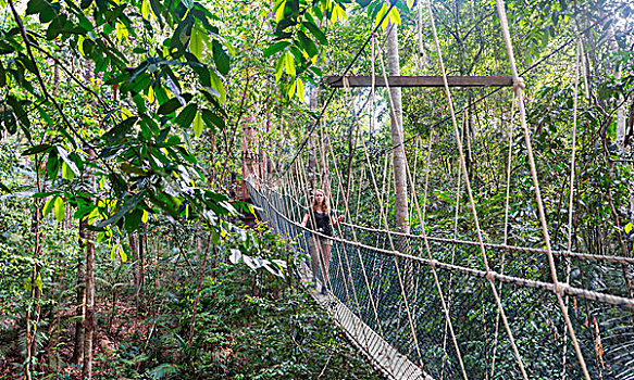 游客,女人,吊桥,丛林,国家公园,马来西亚,亚洲