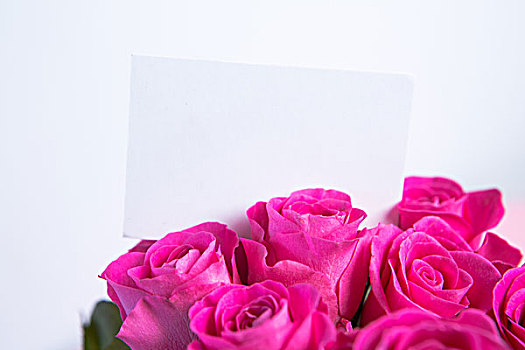 花束,粉色,玫瑰,留白,卡
