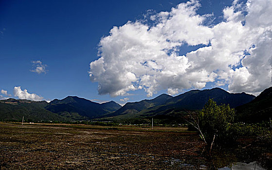 丽江拉市海