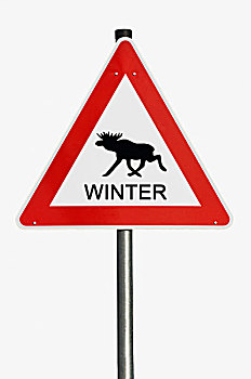 危险标志,警告标识,驼鹿,象征,图像,冬天