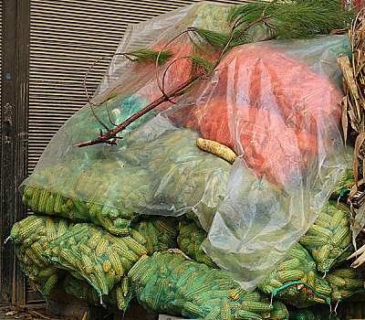 丰收景象贵州威宁农家庭院堆满玉米丰收粮食生产