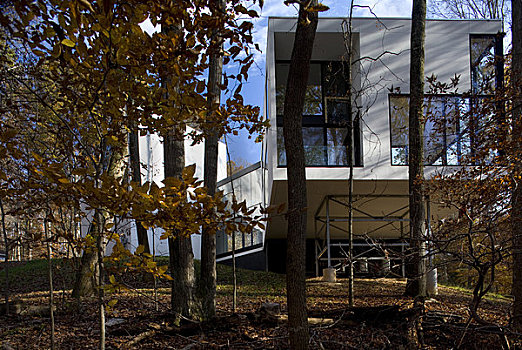 房子,建筑师,弗吉尼亚,美国,2009年,背影,外景