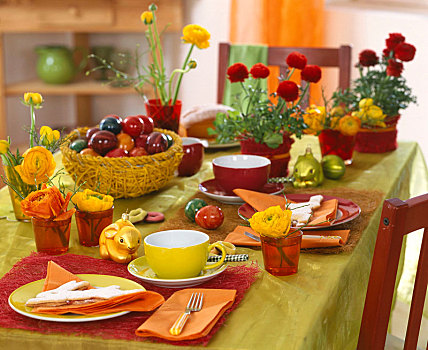 复活节餐桌,毛茛属植物