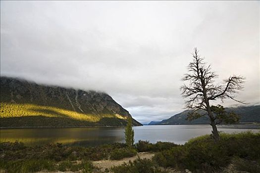 湖,纳韦尔瓦皮,国家公园,区域,巴塔戈尼亚北部,阿根廷,南美