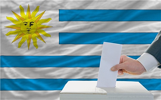 男人,投票,选举,乌拉圭,正面,旗帜