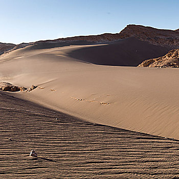 风景,沙丘,佩特罗,阿塔卡马沙漠,省,安托法加斯塔大区,智利