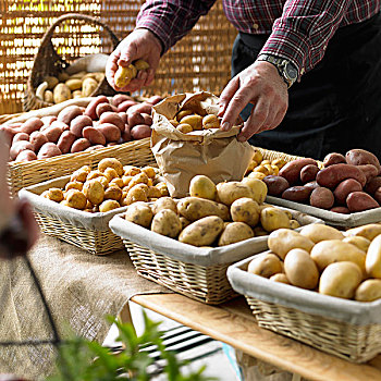 土豆,货摊,市场