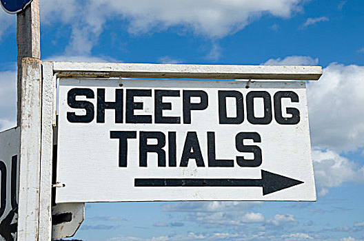 牧羊犬,标识,展示,国家公园