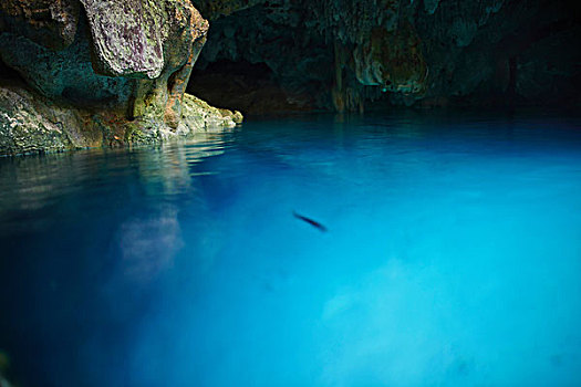 洞穴,水景,墨西哥