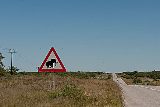 道路,标识,警告,北方,纳米比亚,非洲