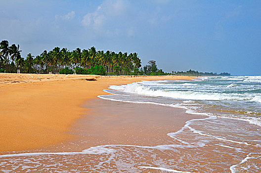 沙滩,东方,省,斯里兰卡,亚洲