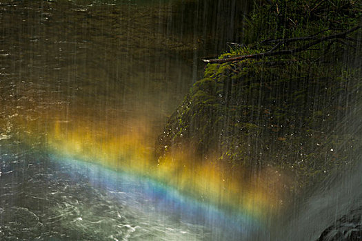 彩虹,中间,北方,瀑布,银色瀑布州立公园,俄勒冈,美国