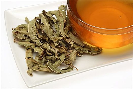 马鞭草,茶,干燥,叶子