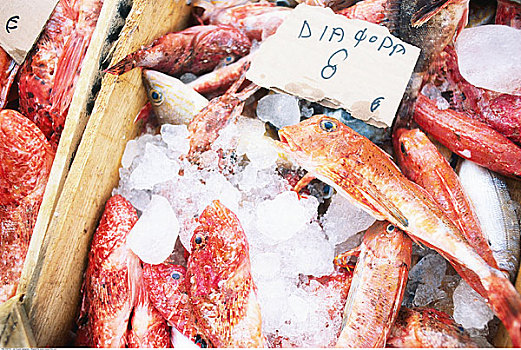 鱼肉,出售,市场,圣托里尼岛,希腊