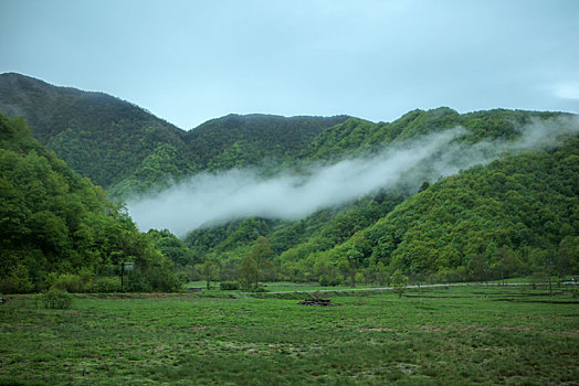 神农架,大九湖,风景,景点,旅游,高山,瀑布,河流,树木,植被,湿地,高原,湖泊,壮观