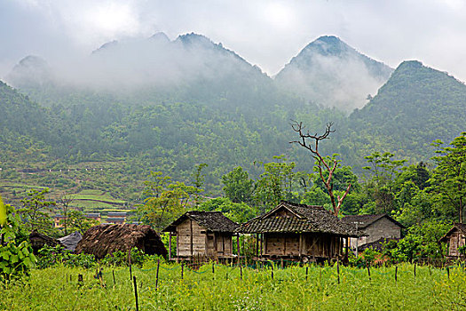 贵州荔波县大瑶山