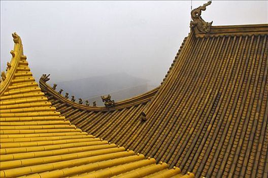 屋顶,庙宇,雕塑,峨嵋,靠近,成都,中国,亚洲