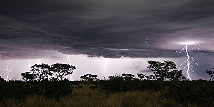 雷雨,闪电,上方,卡拉哈里沙漠,禁猎区,博茨瓦纳