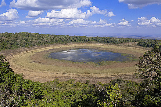 火山口,国家公园,自然保护区,地区,肯尼亚