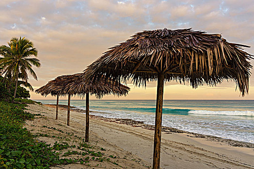 古巴,巴拉德罗,半岛,海滩,海岸,遮阳伞,早晨,亮光