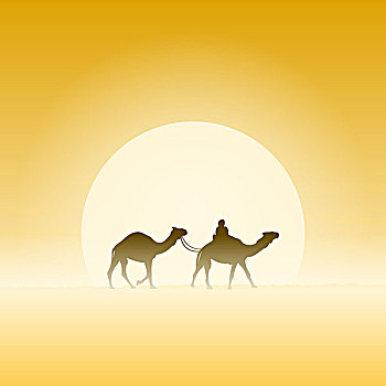 两个,骆驼,太阳