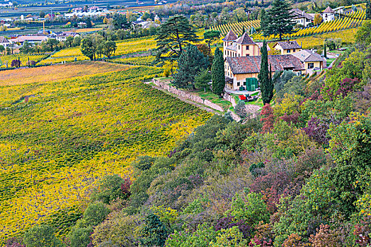 风景,葡萄酒厂,山谷,维诺斯塔,南蒂罗尔,意大利