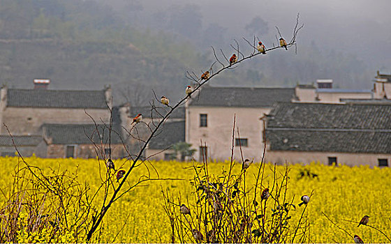 塔川春色