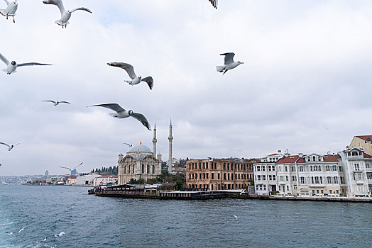 伊斯坦布尔城市风光