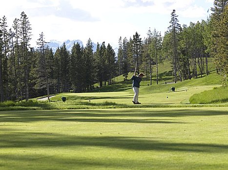 男人,高尔夫球,树林,场地,高尔夫球场,加拿大,艾伯塔省