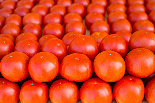 西红柿,蔬菜,一堆,排列,市场