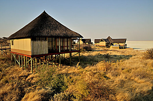 奢华,木制屋舍,露营,埃托沙国家公园,纳米比亚,非洲