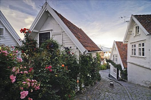 花饰,美景,老城,斯塔万格,罗加兰郡,挪威,斯堪的纳维亚,欧洲