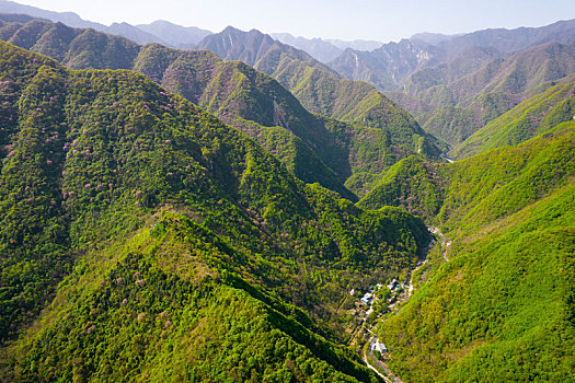 秦岭山春色