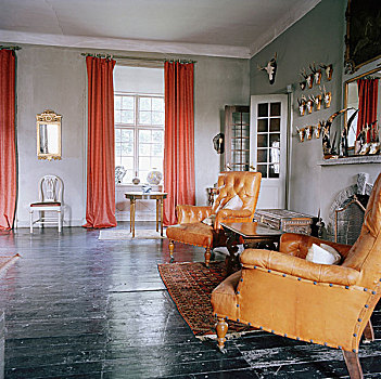 客厅,皮革,扶手椅,鹿角,靠近,壁炉