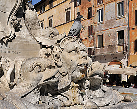喷泉,广场,罗马,拉齐奥,意大利,欧洲