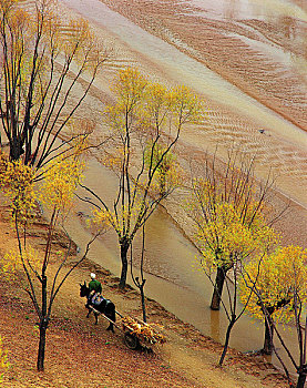 场景,武定,河,省