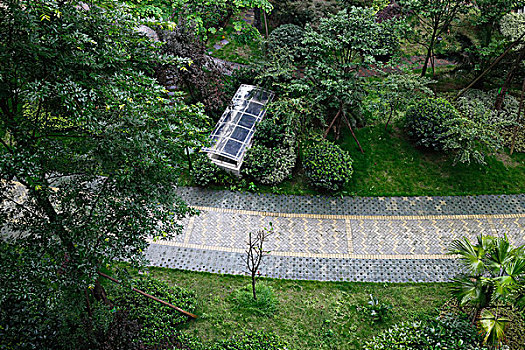 生活小区中庭,道路绿化植物