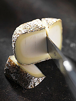 山羊乳酪,法国