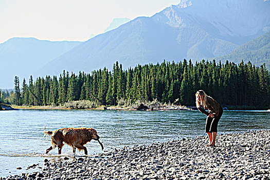 年轻,金发女郎,玩,金毛猎犬,狗,弓河,艾伯塔省,加拿大,落基山脉