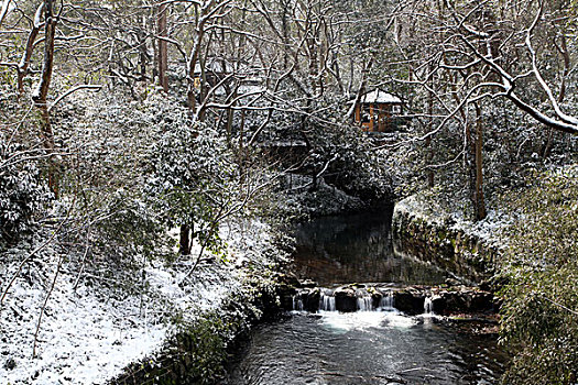 杭州,西湖,建筑,灵隐寺,寺庙,雪,宗教,佛教,僧人,塑像,信仰,文化,旅游,飞来峰