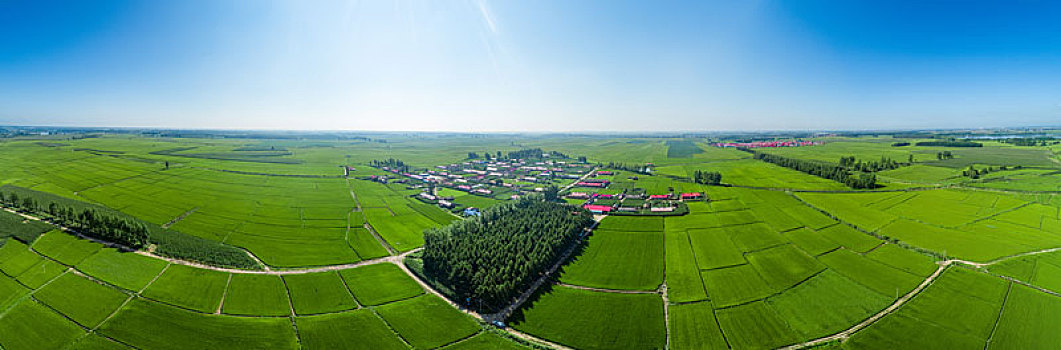 乡村航拍全景稻田地