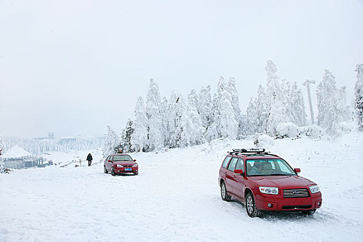 重庆武隆仙女山雪景